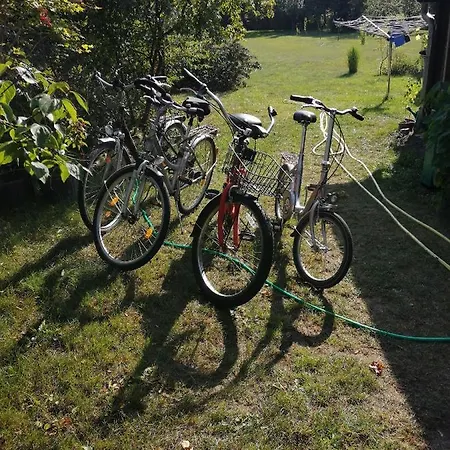 بيت للعطل Wilhelm Spreewald